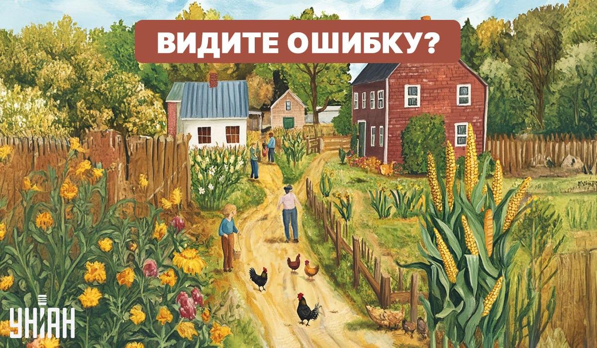 Ett svårt IQ-test: du måste hitta ett misstag snabbt