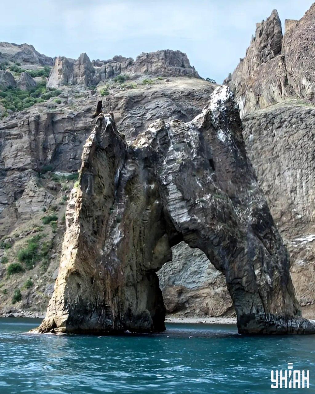 Det tar mindre än 10 sekunder att hitta örnen i pusselbilden / collaget med Moje-foto