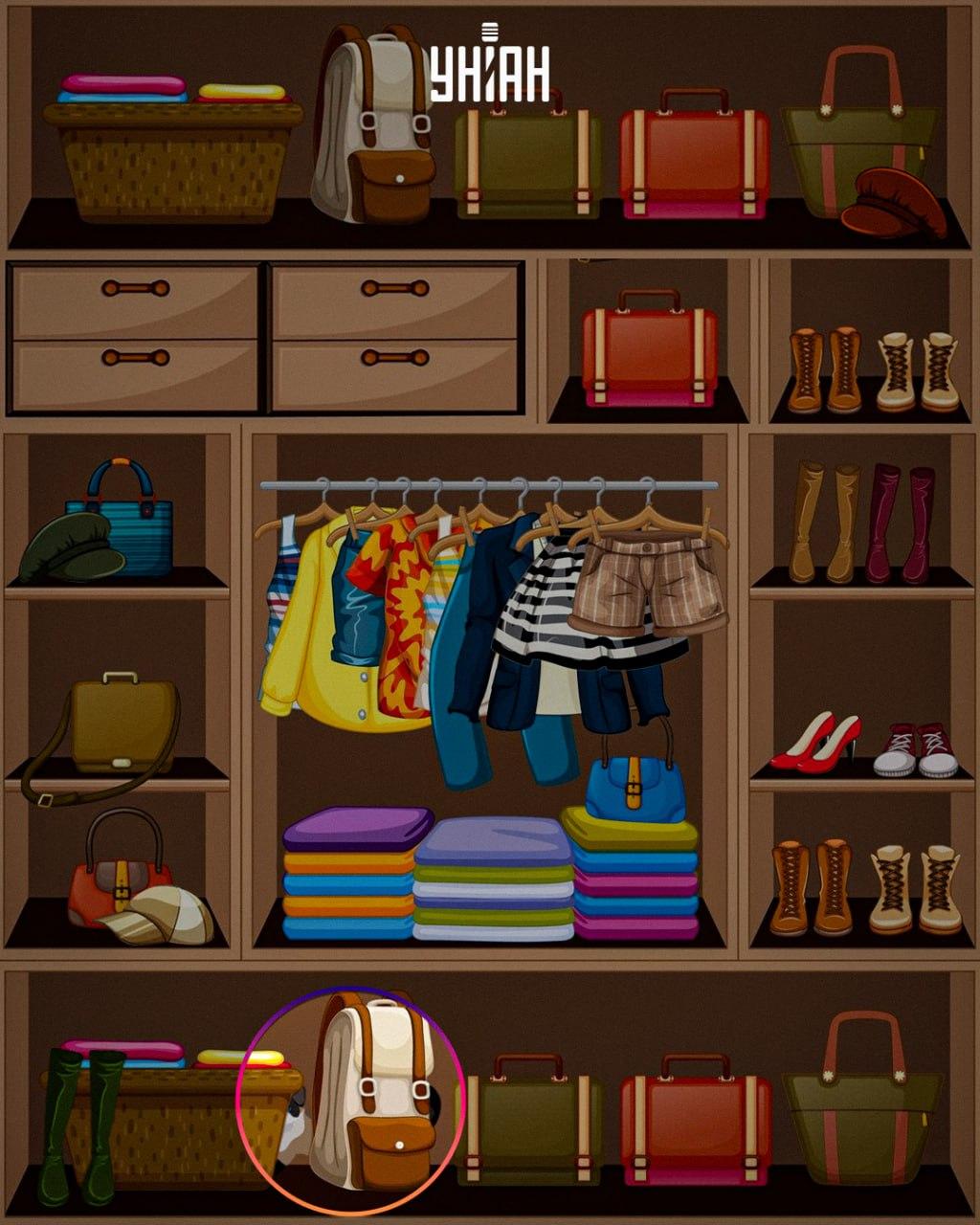 Det listiga djuret placerades längst ner i bilden / collage Moje