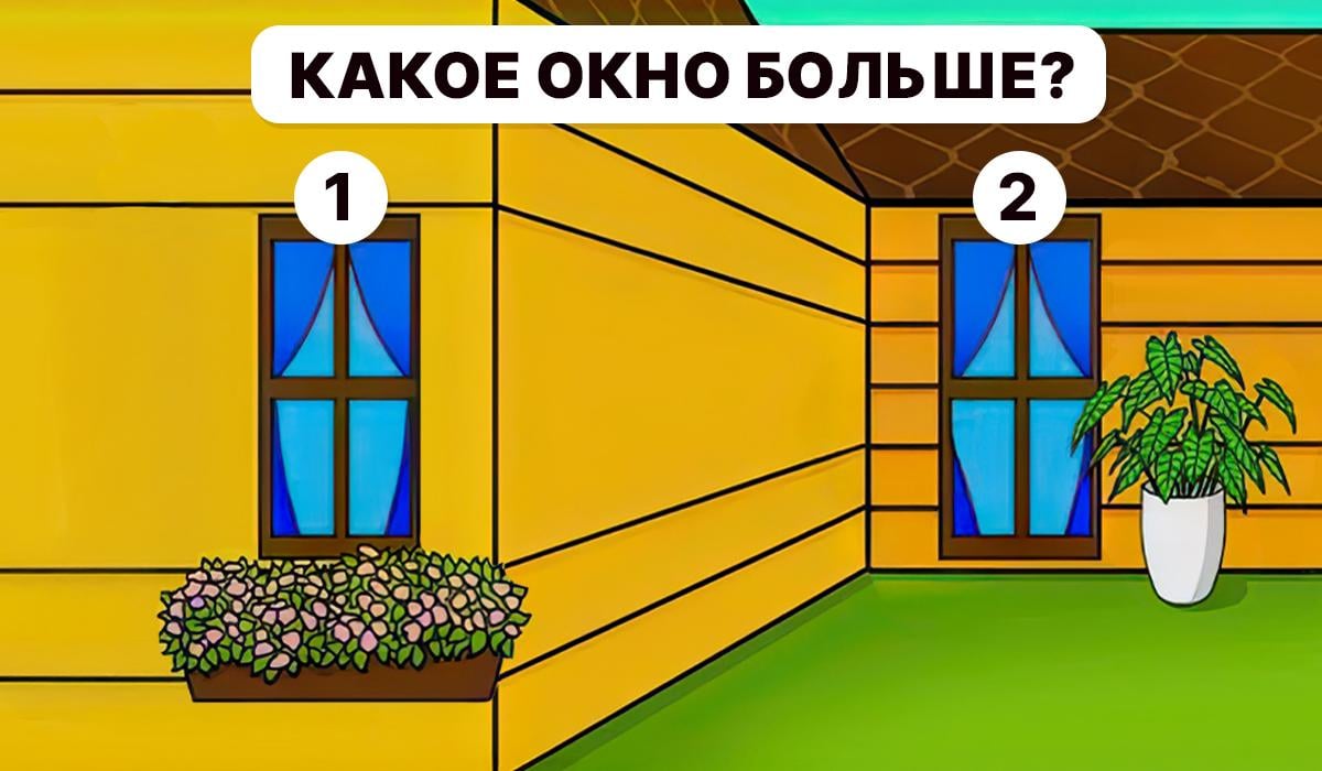 Det är nödvändigt att förstå vilket fönster som är större / Moje collage