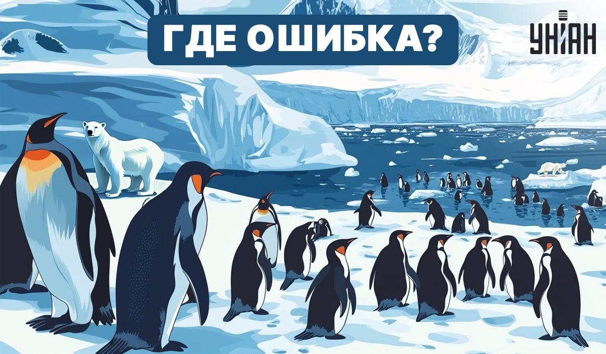 Kan du lista ut vad som är fel i bilden? / Moje