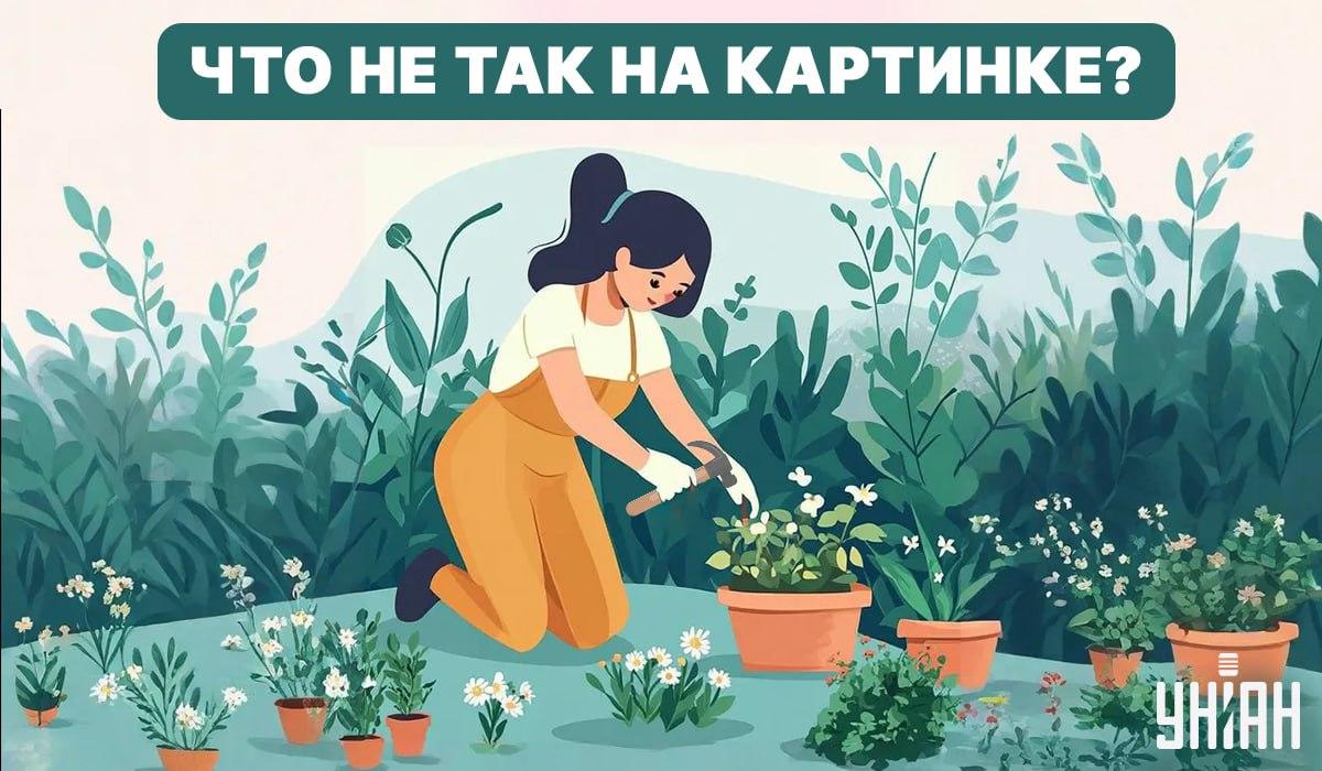 Försök att hitta ett misstag / Collage - Moje