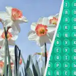 98% av alla människor kan inte hitta ordet "vår" på