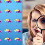Ett enkelt IQ-test: du måste hitta ett konstigt paraply på