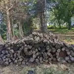 Ett pussel för de mest glada och påhittiga: du måste