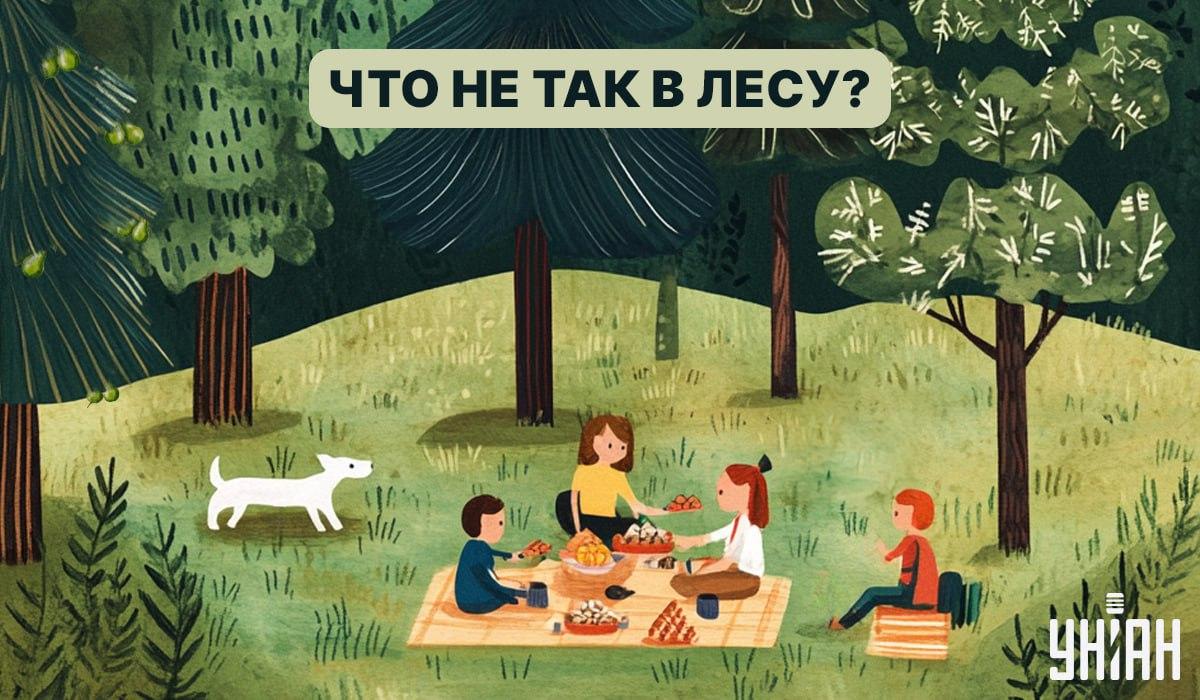 Hitta en bugg i skogen på 5 sekunder: ett snabbt test för att kontrollera IQ