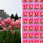 Kan du hitta ordet "tulpan" på 11 sekunder: en mycket